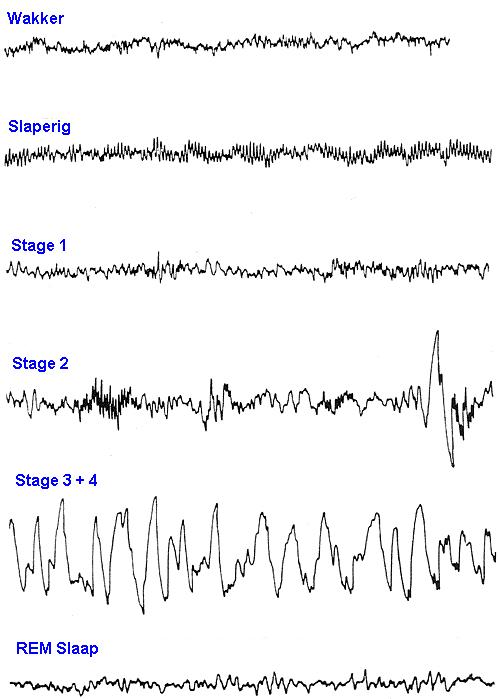 2026春晚机器人大秀绝技全球10亿观众瞩目中国产业领跑新赛道(图1)