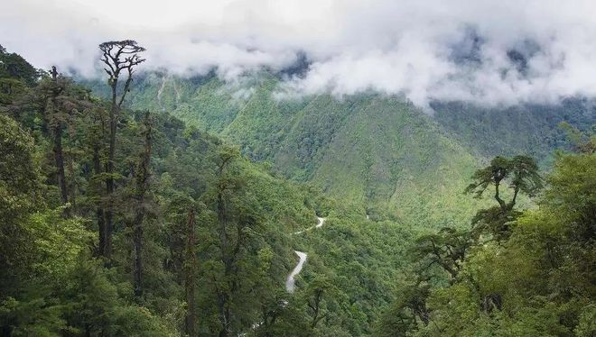 1987年飞机坠落深山飞行员被放牛娃救起30年后终于找到恩人(图6)