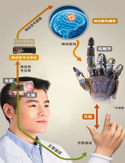 在张江奋战48小时200人跑一场“脑力马拉松”最小仅12岁(图1)