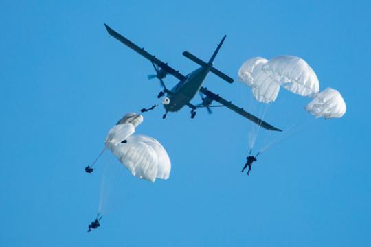 一架轻型飞机在法国东北部坠毁导致11人死亡(图1)